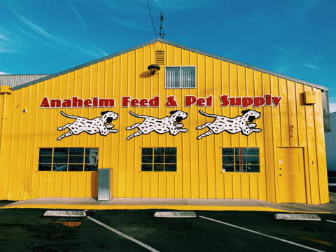 Livestock breeder Anaheim