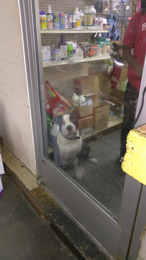 Detroit K-9 Pet Supplies, 7030 Michigan Ave, Detroit, MI 48210, USA, 