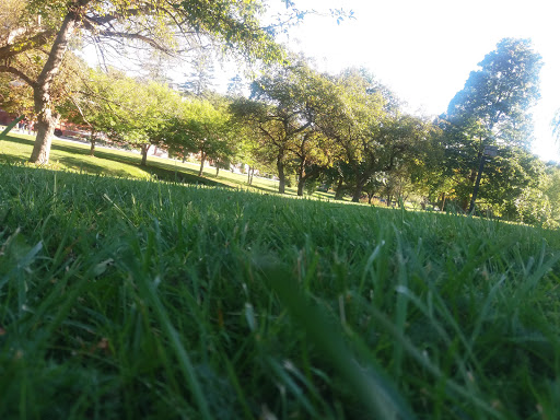 Wedding Venue «Canfield Casino», reviews and photos, 1 E Congress St, Saratoga Springs, NY 12866, USA