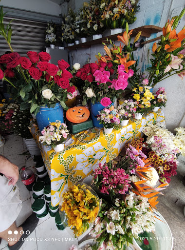 Florería – Mérida