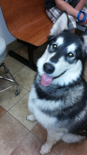 Pet Supply Store «PetSmart», reviews and photos, 533 S Tracy St, Wichita, KS 67209, USA