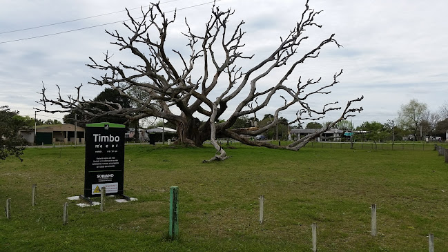 Parque Municipal Viera Y Benavidez - Camping