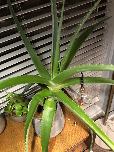 Clothing Store «DownEast Home & Clothing», reviews and photos, 79 State St, Orem, UT 84057, USA