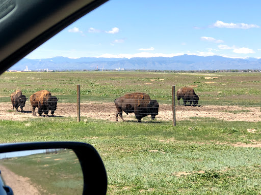 Wildlife Refuge «Rocky Mountain Arsenal National Wildlife Refuge», reviews and photos