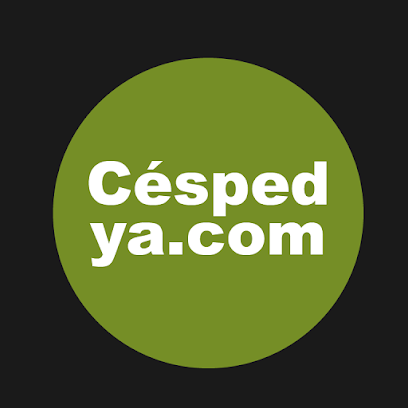 cespedya.com