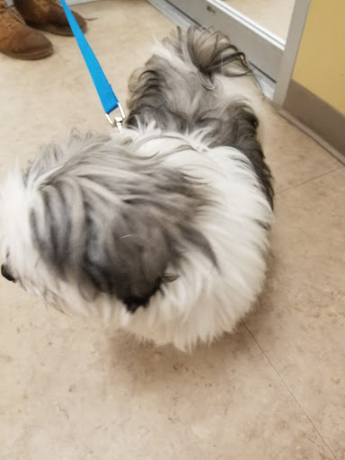 Pet Supply Store «Petco Animal Supplies», reviews and photos, 86 Storrs Rd, Mansfield Center, CT 06250, USA