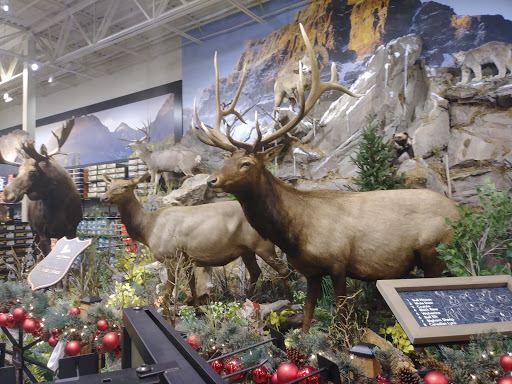 Outdoor Sports Store «Field & Stream», reviews and photos, 1501 Sentinel Dr Ste B, Chesapeake, VA 23320, USA