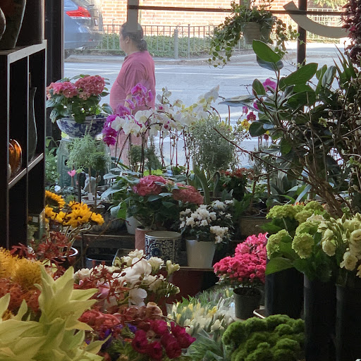 Florist «Green Inc», reviews and photos, 1718 N Wells St, Chicago, IL 60614, USA
