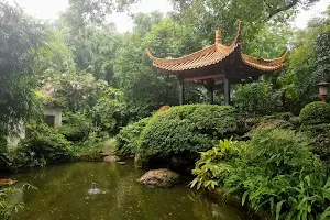 Guangzhou Orchid Garden image