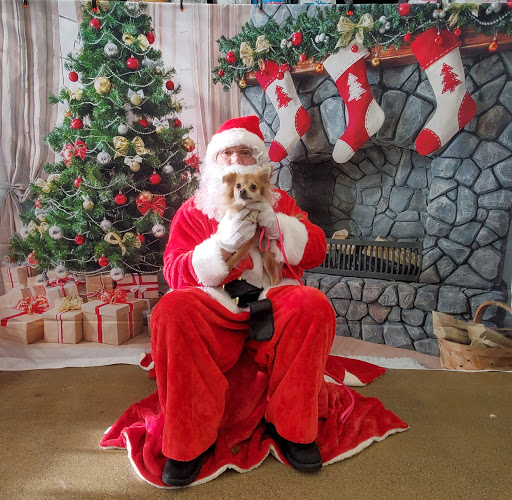 Pet Supply Store «Pet Supplies Plus», reviews and photos, 375 Paterson Ave #105, Wallington, NJ 07057, USA