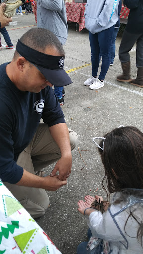 Personal Injury Attorney «Carl Reynolds Law», reviews and photos