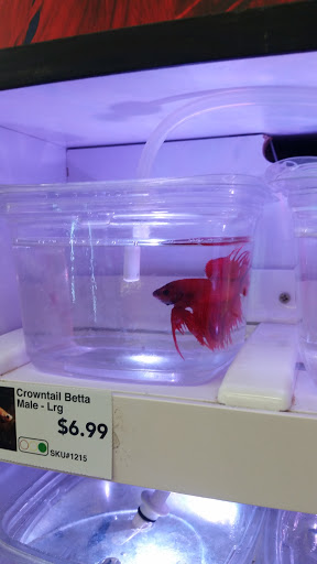 Pet Supply Store «Pet Supermarket», reviews and photos, 2649 E Gulf to Lake Hwy, Inverness, FL 34452, USA