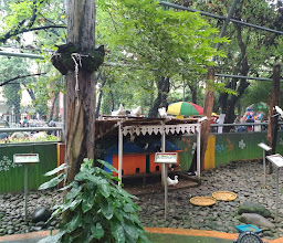 Taman Burung Perak / BIRD Park photo