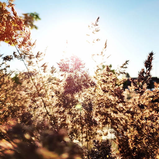 Shopping Mall «Gateway Shopping Center», reviews and photos, 9924 NE Halsey St, Portland, OR 97220, USA