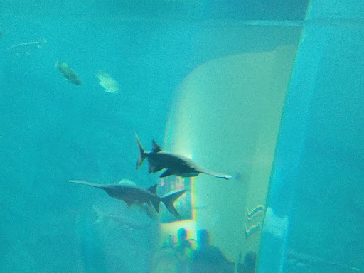 Science Museum «Discovery World», reviews and photos, 500 N Harbor Dr, Milwaukee, WI 53202, USA