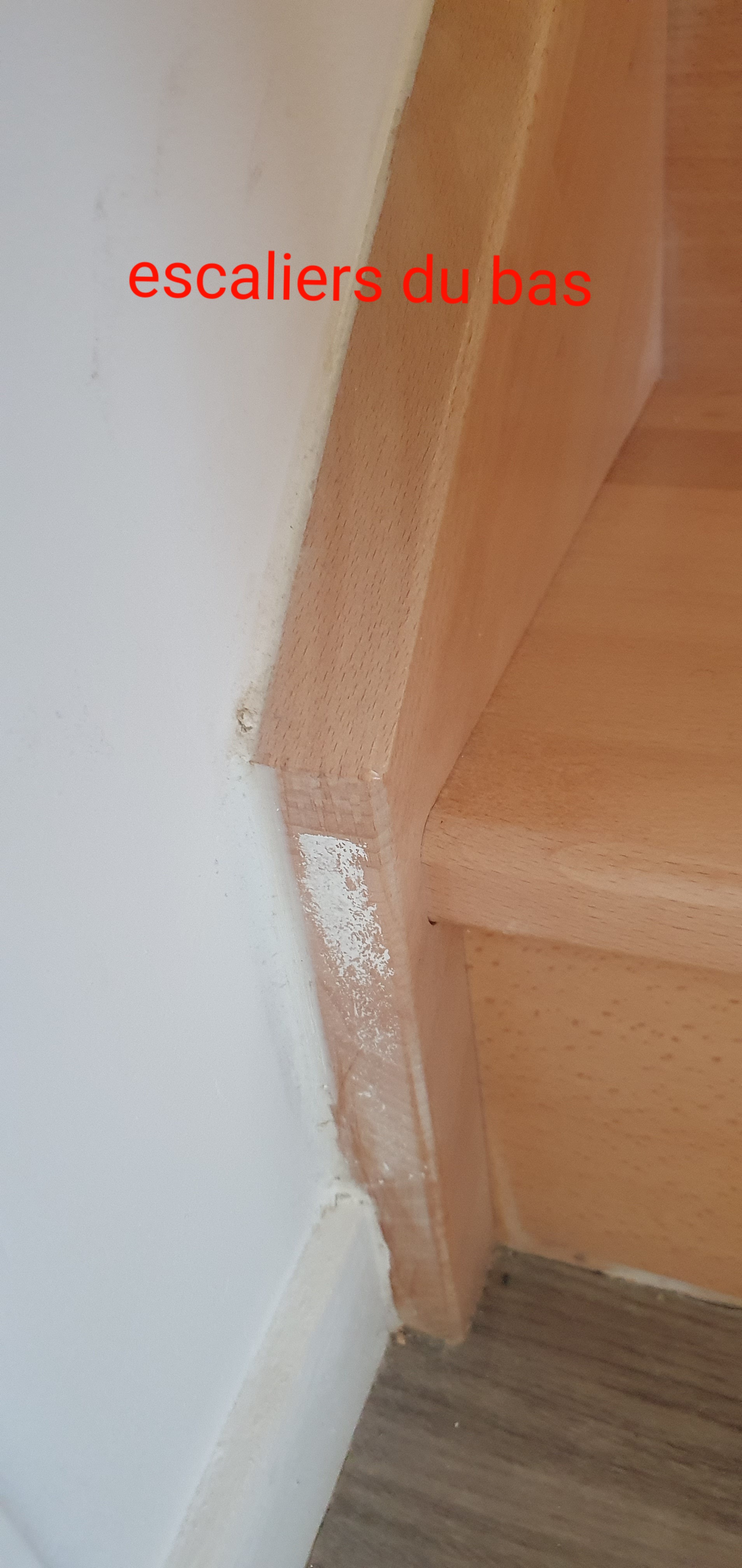 Photo n° 13 de l'avis de co.o fait le 19/03/2021 à 16:42