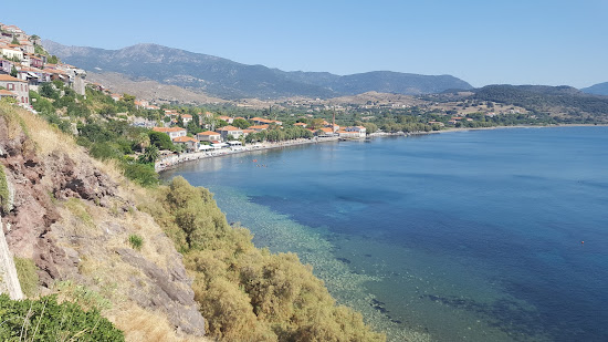Delfinia beach II