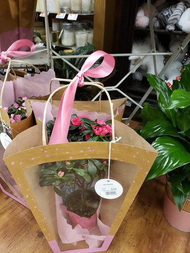 Grocery Store «ACME Markets», reviews and photos, 4720 Limestone Rd, Wilmington, DE 19808, USA