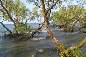 Baybay Mangrove Eco-Trail image