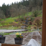 Photo n°2 de l'avis de Linda.a fait le 24/03/2024 à 10:00 sur le  Hotel Therme Bad Teinach à Bad Teinach-Zavelstein