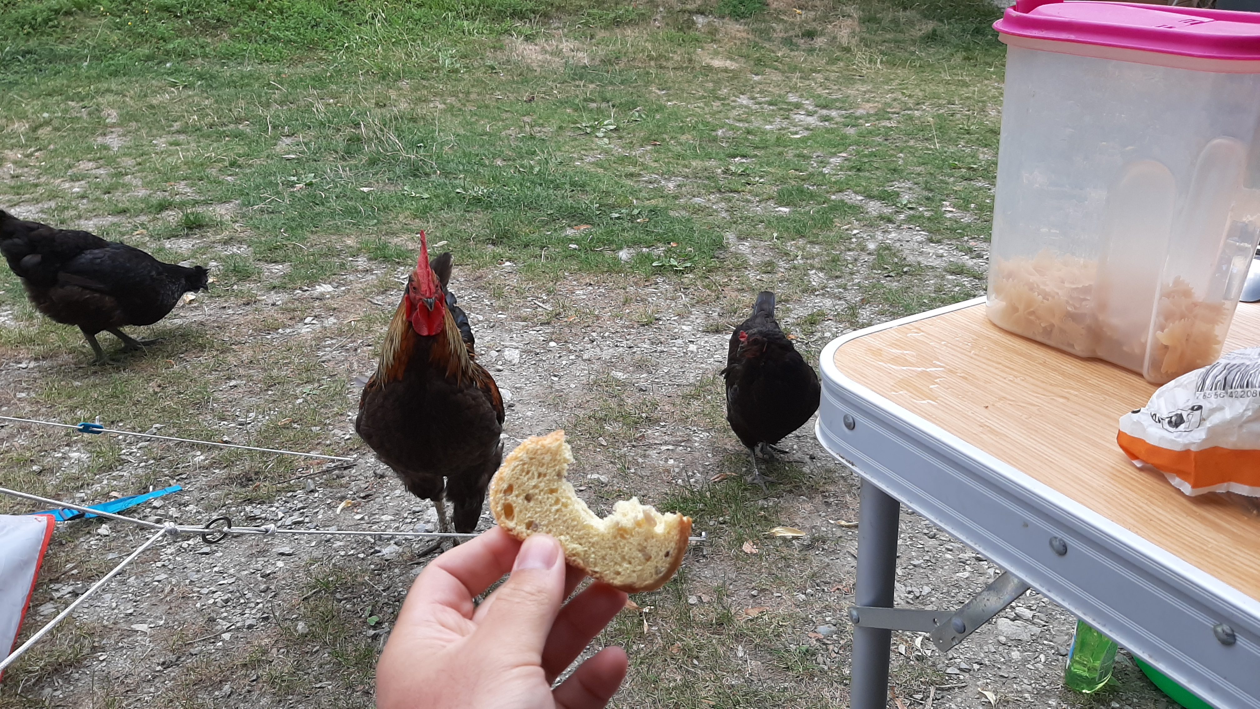 Photo n° 12 de l'avis de colonelabruti. fait le 16/08/2019 à 06:39