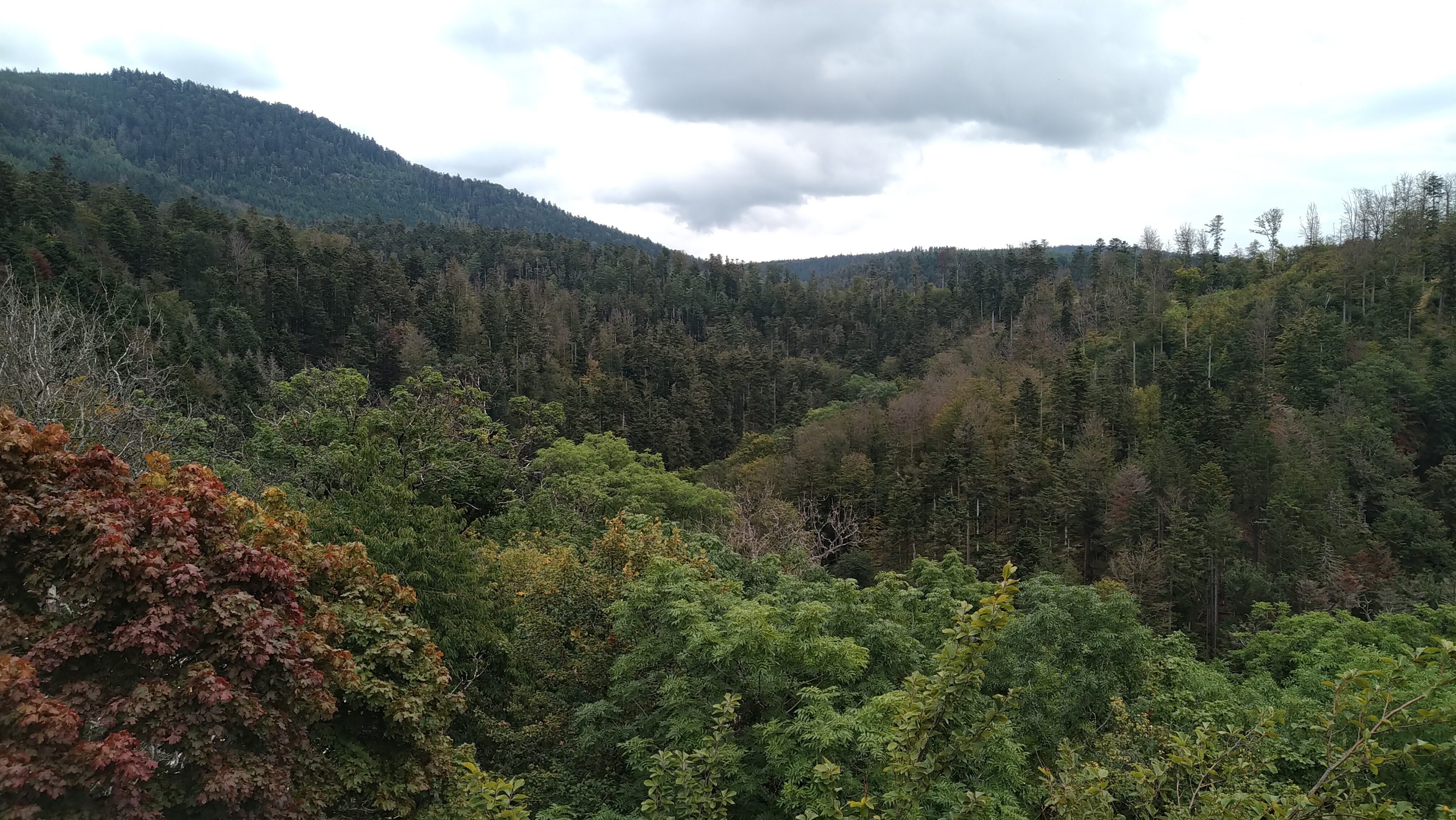 Photo n° 4 de l'avis de ATY.� fait le 10/09/2021 à 15:32