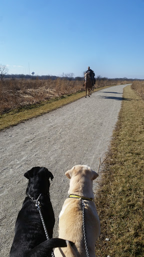 Hiking Area «Hadley Valley - Route 6 Access», reviews and photos, 16504 Maple Rd, Joliet, IL 60432, USA