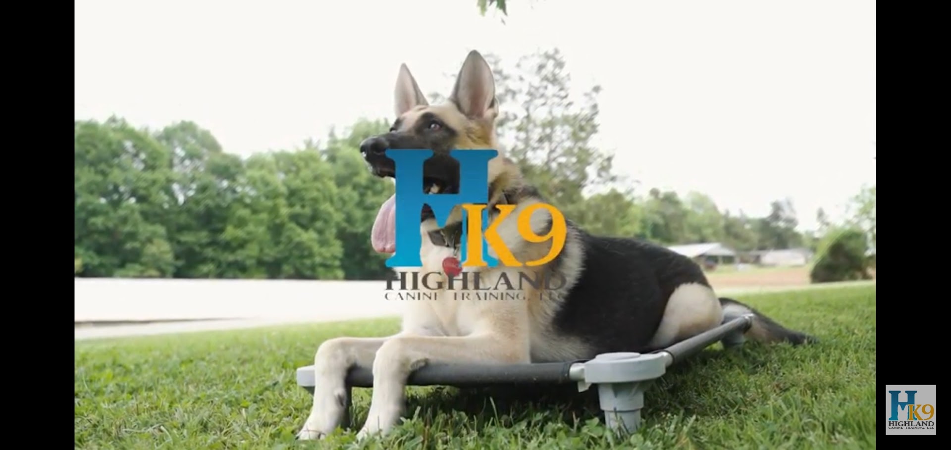 Highland Canine Training - Scranton
