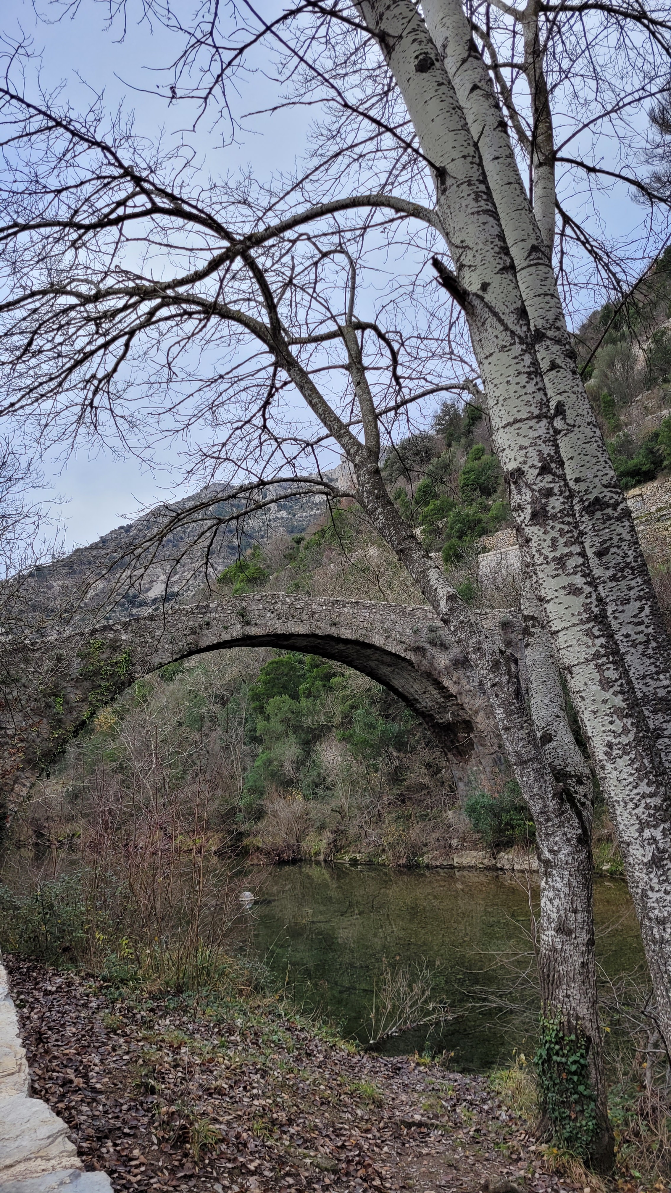 Photo n° 18 de l'avis de Salopette.o fait le 28/12/2022 à 18:35
