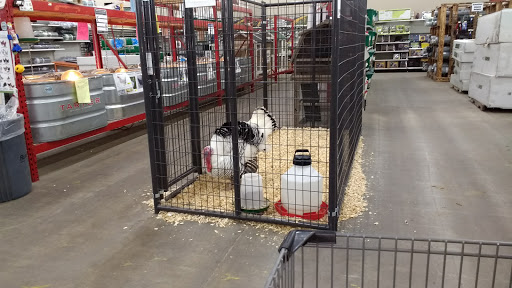 Department Store «Rural King», reviews and photos, 3201 IN-45, Bloomington, IN 47403, USA