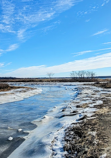 Nature Preserve «Sandy Point Bird Sanctuary», reviews and photos, Beach St, West Haven, CT 06516, USA