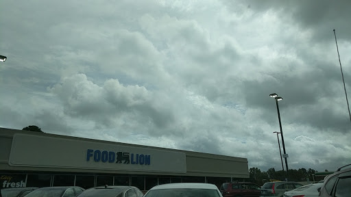 Grocery Store «Food Lion», reviews and photos, 3219 S Holden Rd, Greensboro, NC 27407, USA