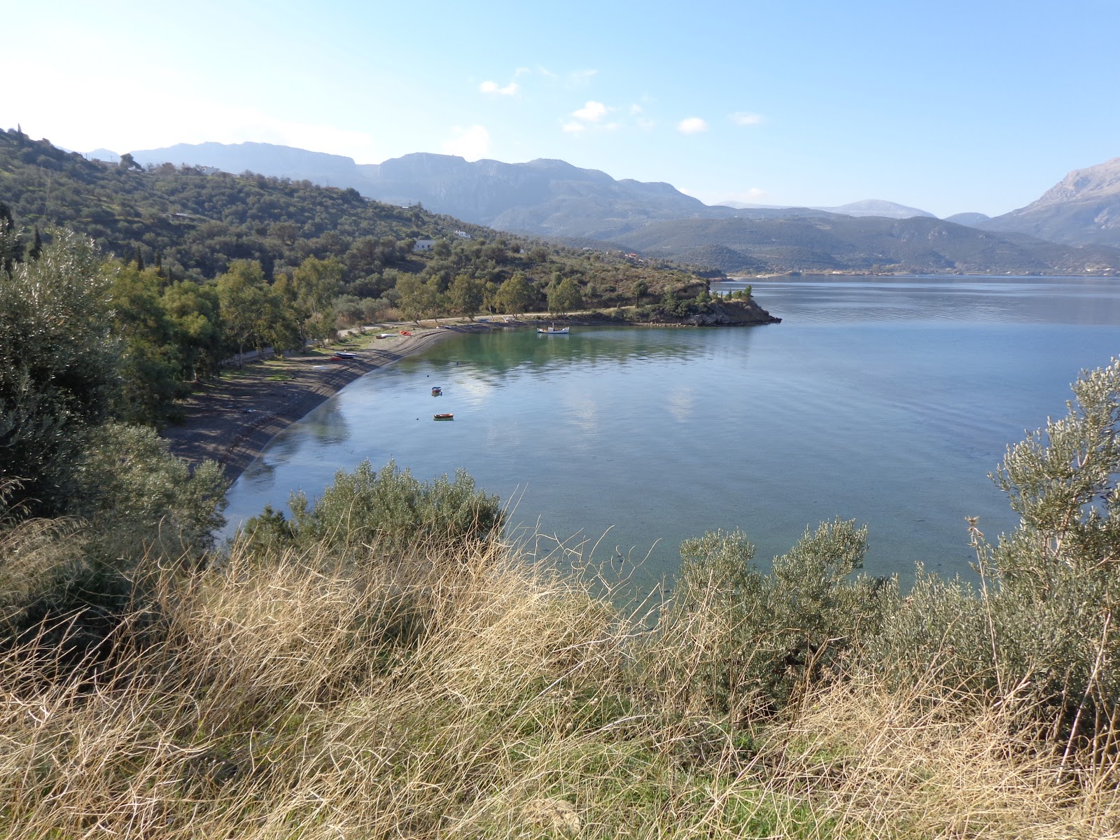 Foto av Dariza Metamorfosis II med turkos rent vatten yta