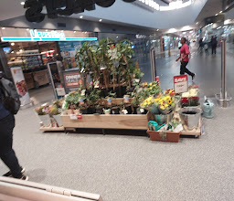 Checkers Whale Coast Mall photo