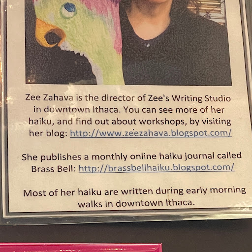 Gift Shop «Sunny Days Of Ithaca», reviews and photos, 123 S Cayuga St, Ithaca, NY 14850, USA