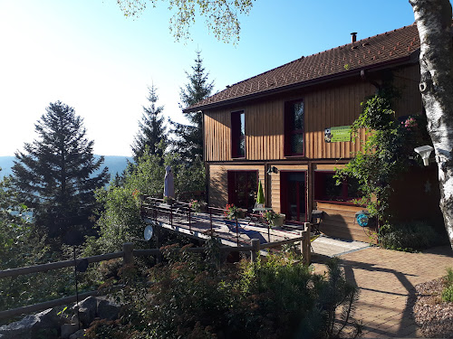 Lodge Chalet Gîte Nature & Ressourcement Spa Sauna Piscine- 13 personnes-groupe stage-Géradmer Le Tholy