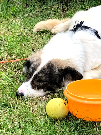 Shelter Bad Karlshafen unter Bad Karlshafen, 