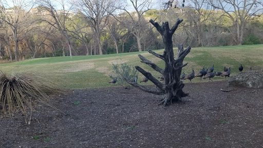Golf Course «Lost Creek Country Club», reviews and photos, 2612 Lost Creek Blvd, Austin, TX 78746, USA