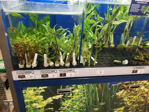 Pet Supply Store «Petco Animal Supplies», reviews and photos, 585 E Wetmore Rd, Tucson, AZ 85705, USA