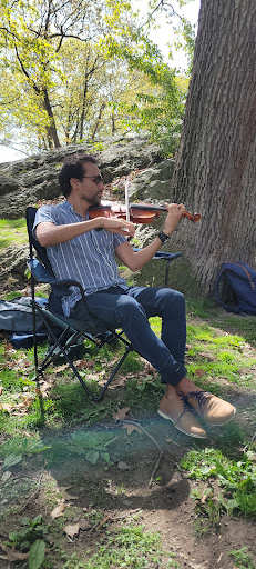 Park «Horatio Harris Park», reviews and photos, 85 Harold St, Boston, MA 02119, USA