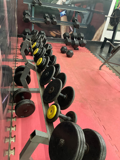 FORZA ATLéTICA GYM