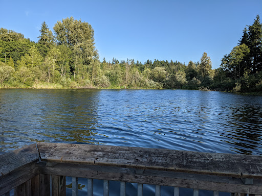 Park «Lake Boren Park», reviews and photos, 13058 SE 84th Way, Newcastle, WA 98056, USA