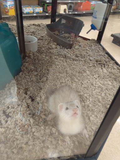 Pet Supply Store «Petco Animal Supplies», reviews and photos, 12641-310 Ocean Gateway, Ocean City, MD 21842, USA