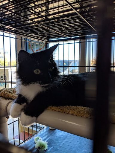 Pet Supply Store «Pet Valu», reviews and photos, 1525 Genntown Dr, Lebanon, OH 45036, USA