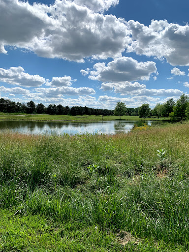 Golf Course «Buffer Park Golf Course», reviews and photos, 3825 Foltz St, Indianapolis, IN 46221, USA