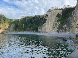 Playa de el Castrillon'in fotoğrafı vahşi alan