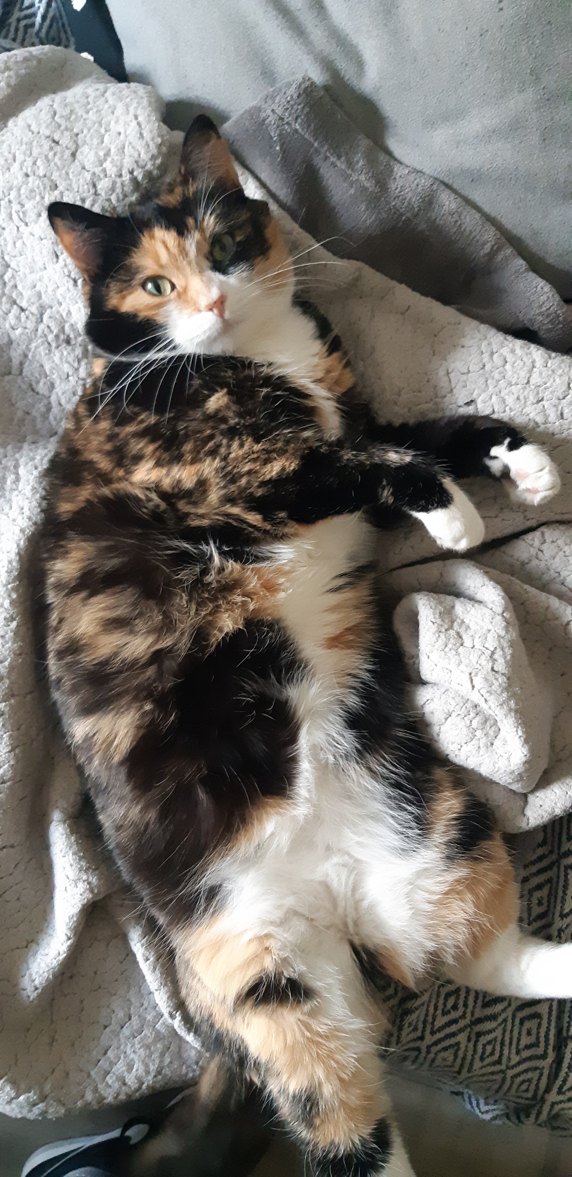 Photo n° 2 de l'avis de Sonalie.n fait le 21/06/2022 à 16:12