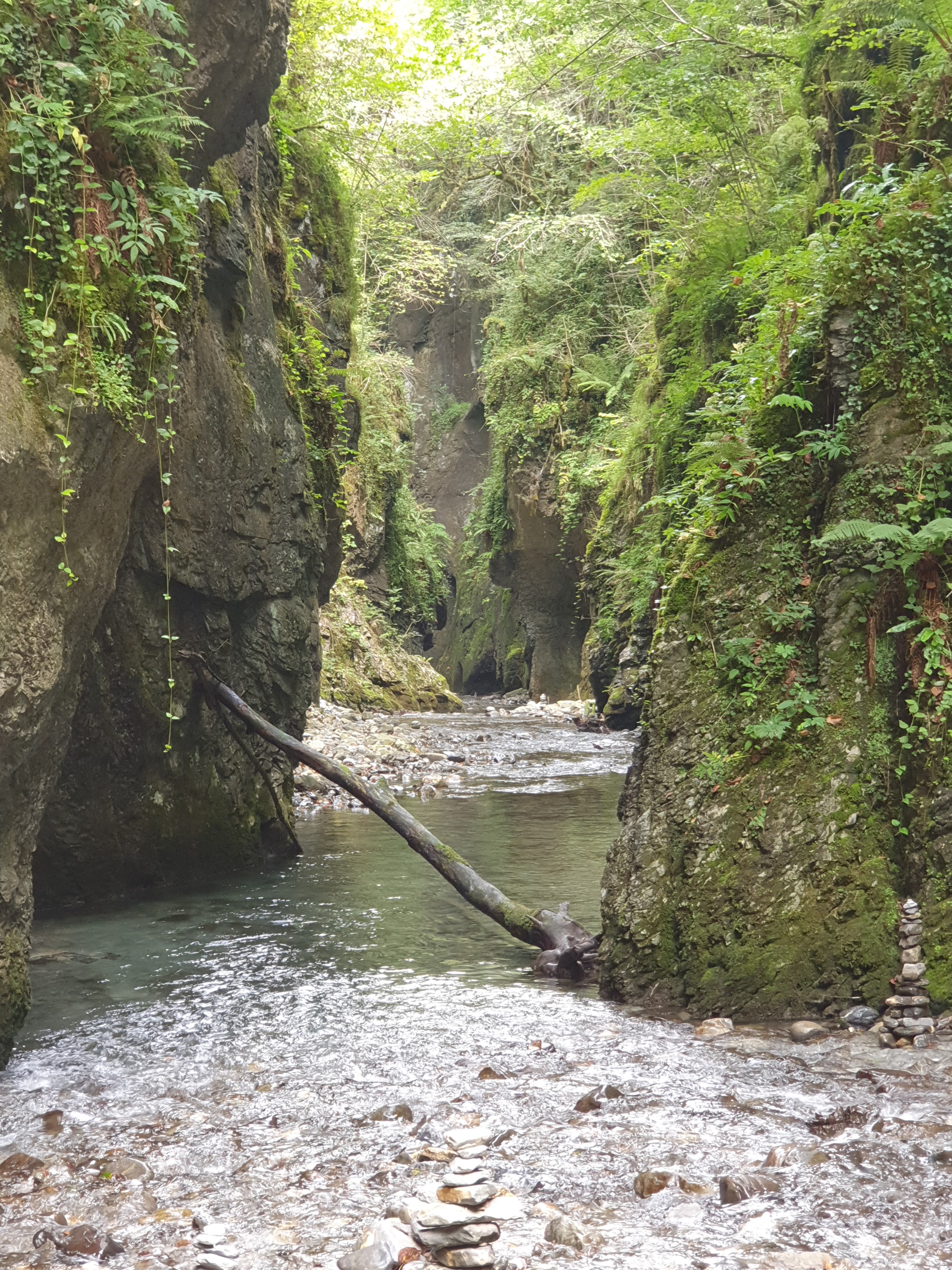 Photo n° 3 de l'avis de Laldja.m fait le 01/09/2019 à 14:08