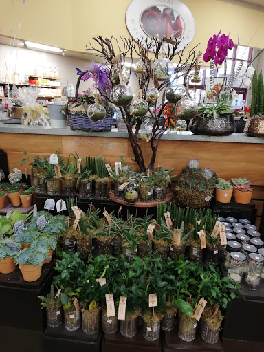 Safeway image