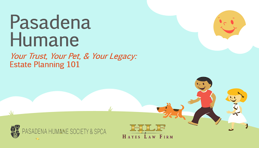 The Hayes Law Firm image